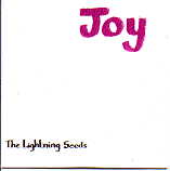 Lightning Seeds - Joy